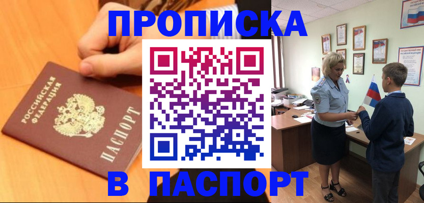 пропишу в квартире в Шлиссельбурге